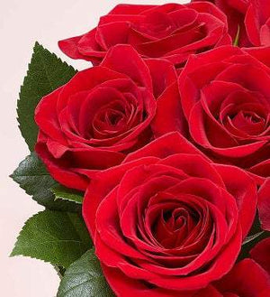 Two Dozen Red Roses with Red Vase (Free Delivery) - Carved Nature