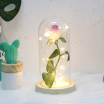 Hot Beauty And The Beast Red Rose Flower In Glass Dome Wooden Base For Decorate Valentine's Day Gifts Christmas LED Rose Lamps